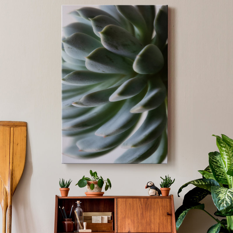 Zen succulent II-reproduction de photo sur toile tendue, H 27 po x l 18 po x P 1 po