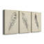 Plume d'esquisse II - ensemble de 3 reproductions d'art sur toile tendue-443847626