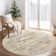 Vintage Distressed Non Slip Washable Rug(Brown)