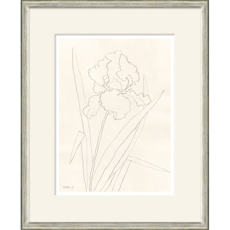 Bearded Iris Giclee Print by Susan Hable