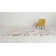 Speight Abstract Indoor Rug