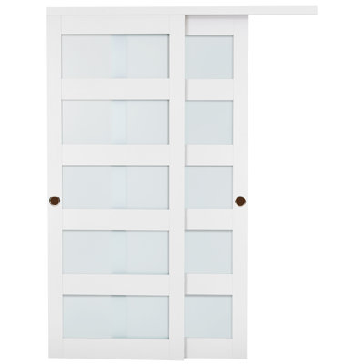 Sliding Closet Door, 60" (Double 31") x 80", 5-Lite Frosted Glass Bypass Sliding Doors with Hardware Kit & Floor Guide, Solid Wood & MDF Slab with Water-Proof PVC Surface for Closets Bedrooms