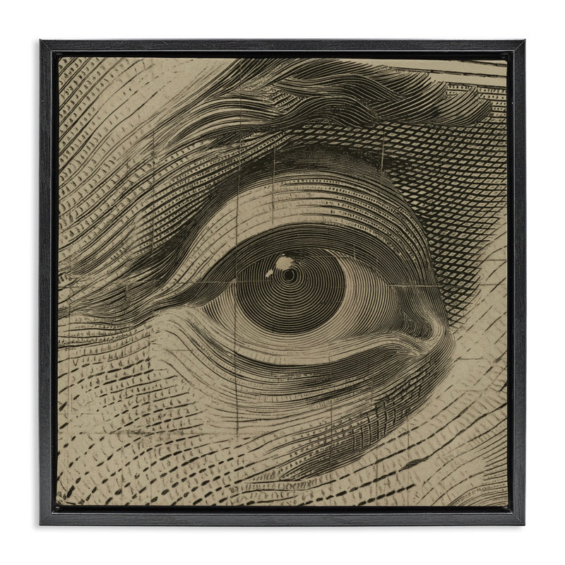 Cadre flottant Franklin's Gaze Eye, design par Svetlana Aleynikova, H 18 po x l 18 po, Cadre flottant noir de jais