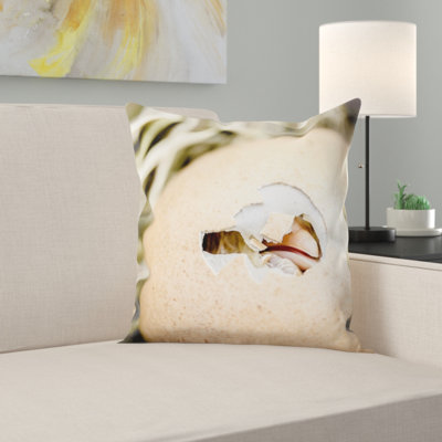 Coussin décoratif poussins éclos