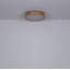 Perdomo Plastic LED Flush Mount-733214044