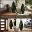 Topiaire de buis Pure Garden