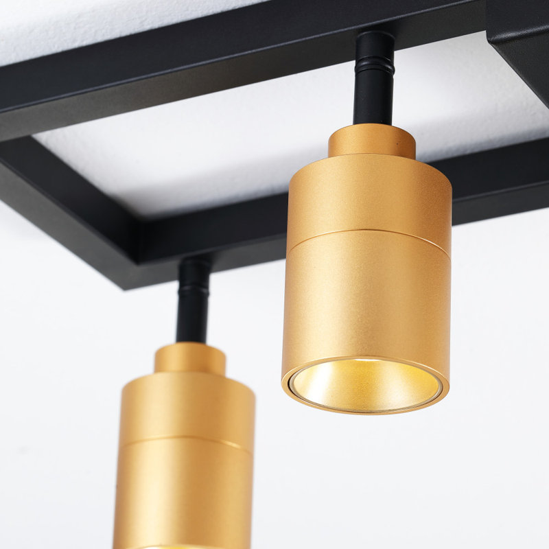 Vidalite Black and Gold Iron Rectangle Semi Flush Mount