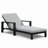 Hoyt 35'' Outdoor Metal Chaise Lounge-676678787-753207723