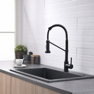 Fapully Pull Out Kitchen Faucet