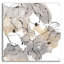 «Original Neutrals II» par Chris Paschke-1842236039