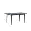 Rengin Extendable Metal Base Dining Table
