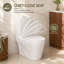 Toilette une pièce sans rebord | Double chasse allongée avec siège confortable et hauteur incluse - blanc