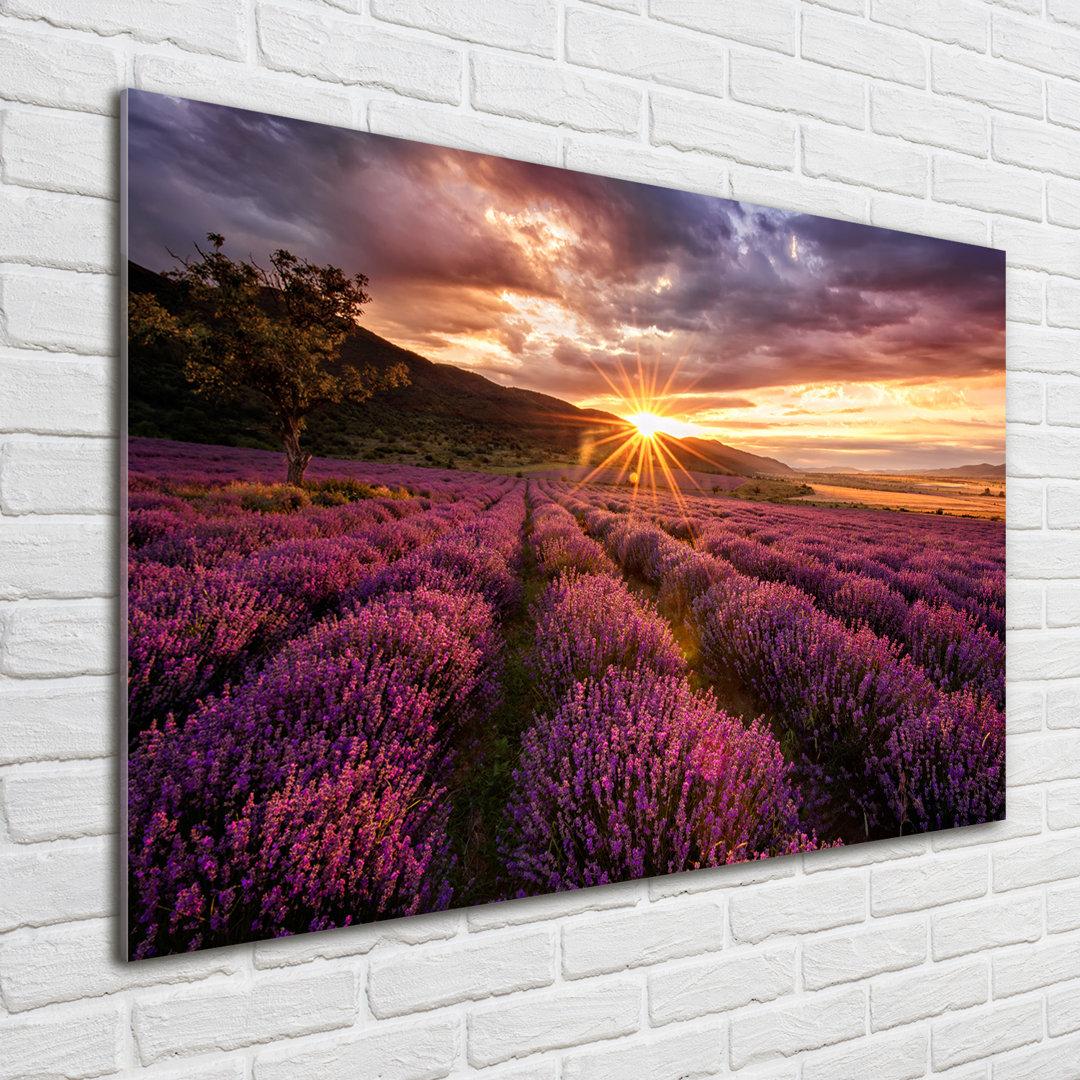 Lavender Field - No Frame Print on Glass