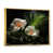 Gold Floater Framed