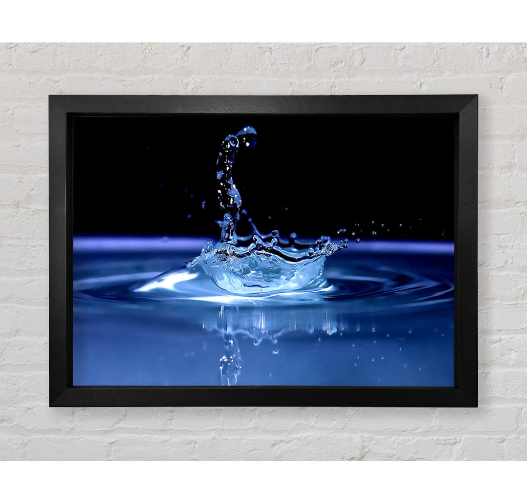 Water Splash Delight Blau - Druck