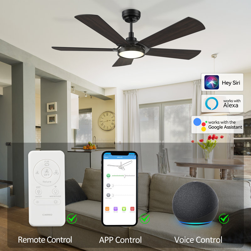 52'' Ceiling Fan with LED Lights