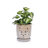 Set of 2 Striped Ceramic Flowerpot with Drainage Hole, 8" Modern Planter for Patio, Garden-1820031775