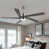 Brushed Nickel with Gray Blades