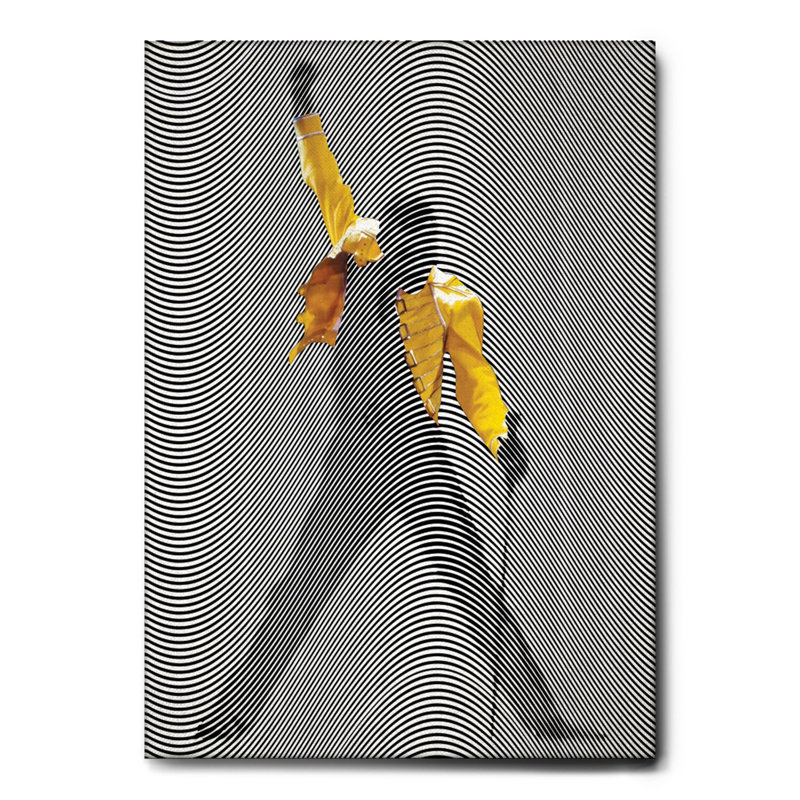 Paintings - 02 - The Show Must Go On - Standard Frame Canvas, 70 cm H x 50 cm W x 5 cm D