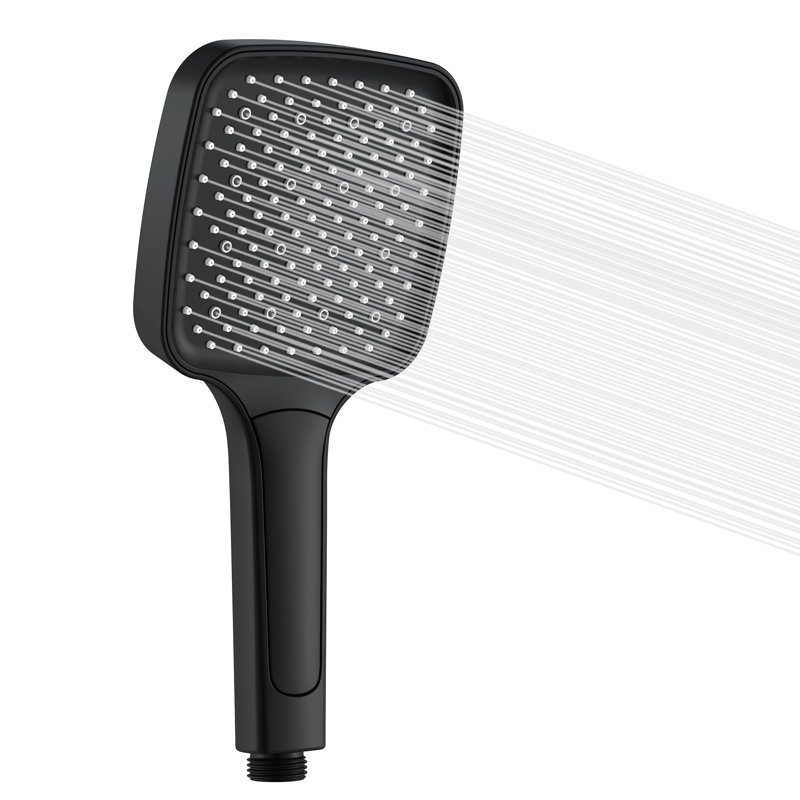 Kattie Handheld Shower Head, Black