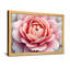 Plantes et fleurs, impression de motif floral rose-655175468-655175506-655175470