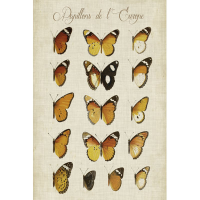 Papillons De L'europe II 1 Piece Wrapped Canvas Wall Art