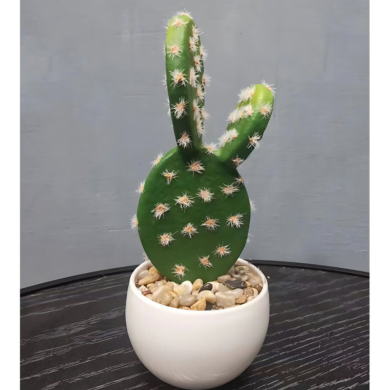 Cactus 7,08 po