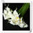 Lillies Arrangement
