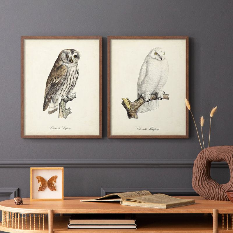 French Owls III - reproduction encadrée de qualité supérieure - prête à être accrochée - aucun clou requis - aucun clou requis