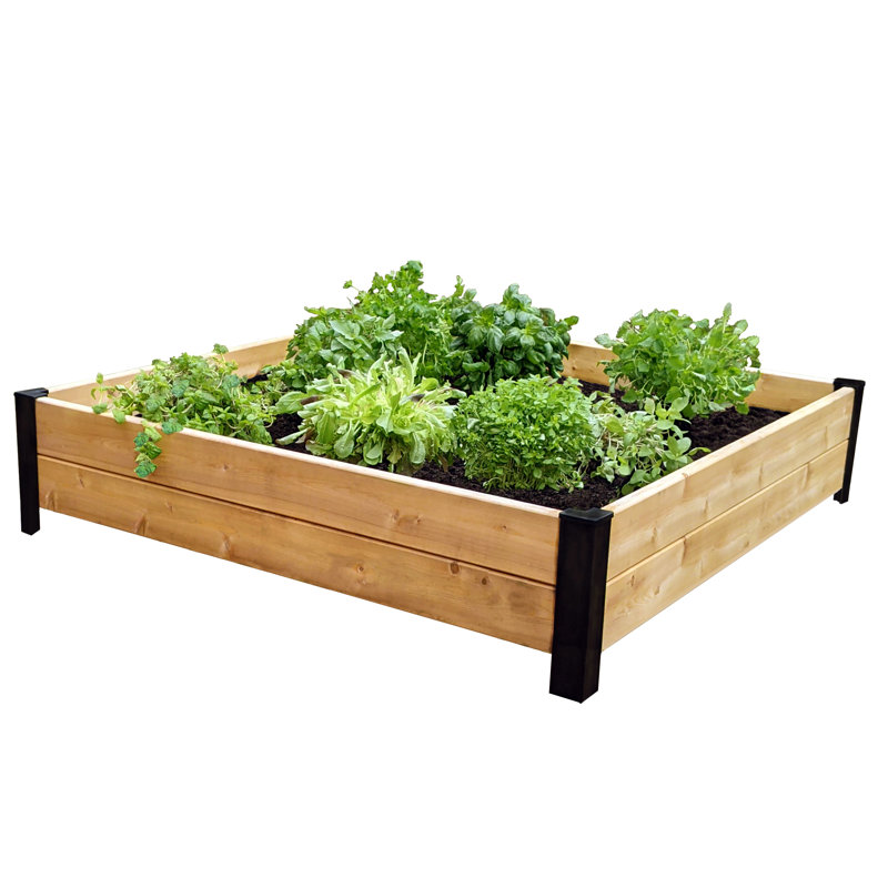 Jardinière surélevée Nicoel