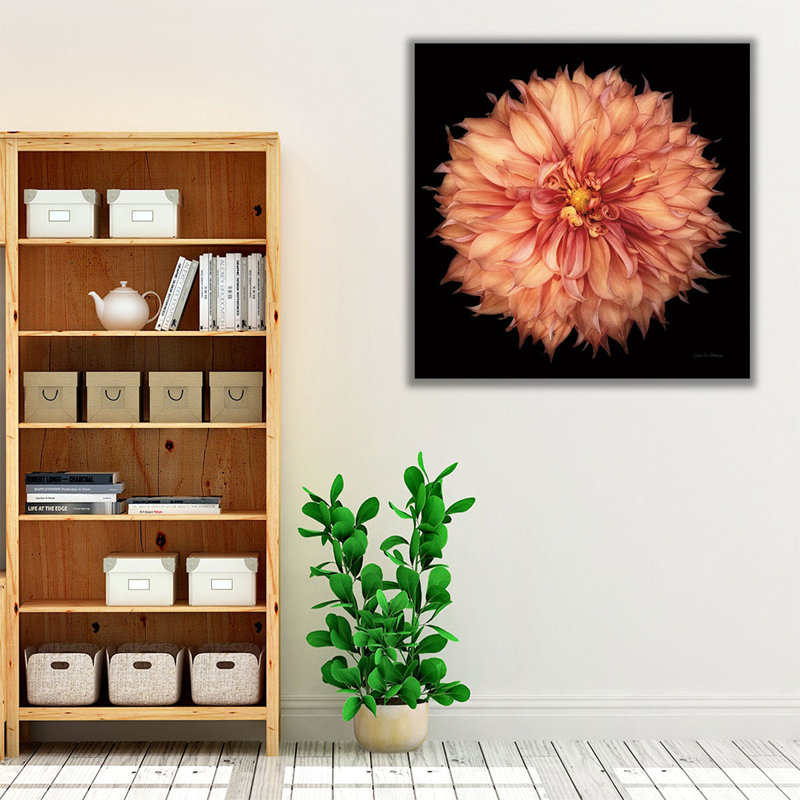 Dahlia I - reproduction d'art sur toile, H 12 po x l 12 po