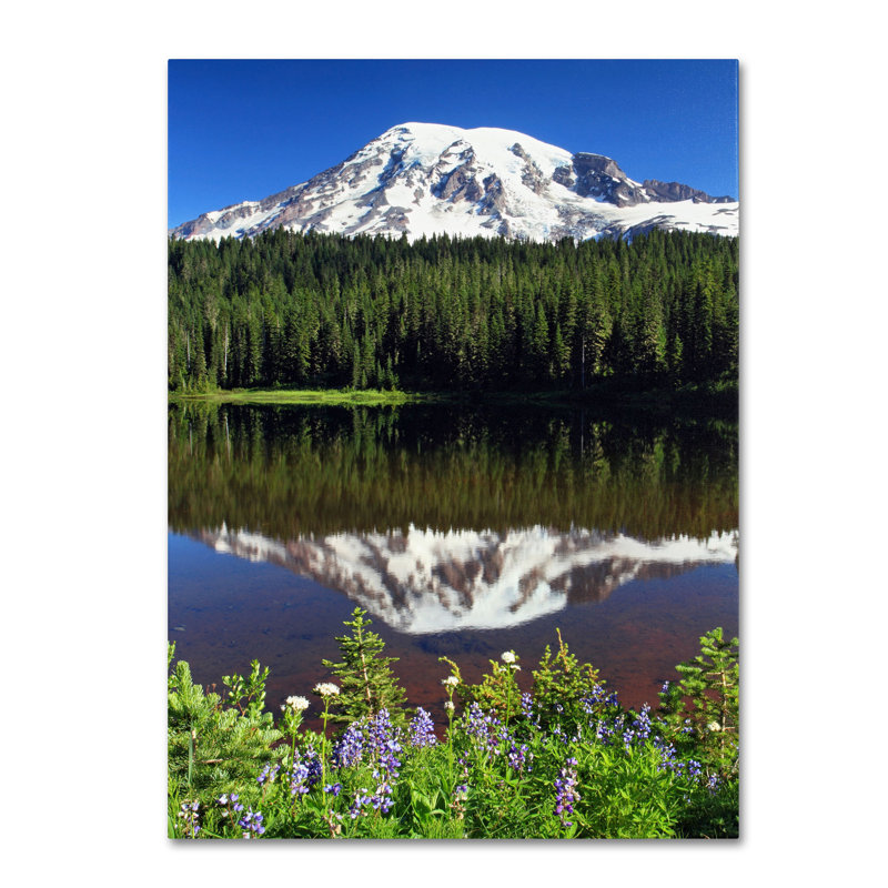 « rainier wildflowers » par pierre leclerc,, reproduction de photo sur toile, H 19 po x l 14 po x P 2 po