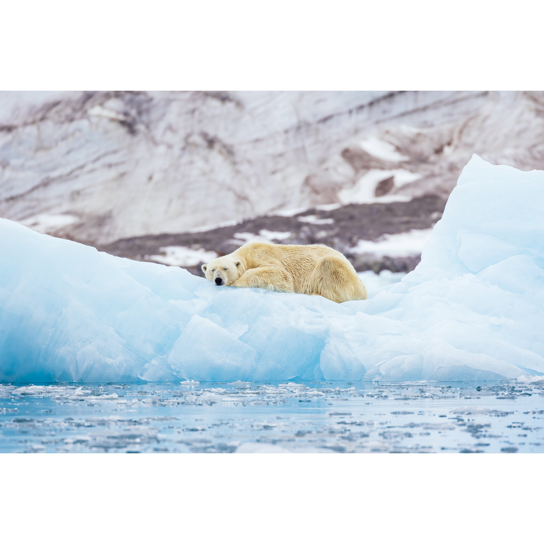 Eisbär auf einem Eisberg von Andrew Peacock - Leinwandbild