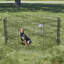 Parc et enclos pliable en métal MidWest Homes for Pet-686335573
