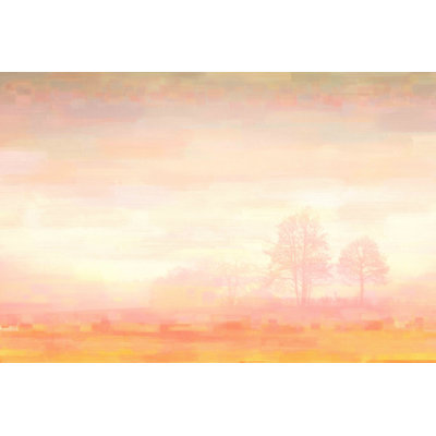 " Orange Mist " by Parvez Taj