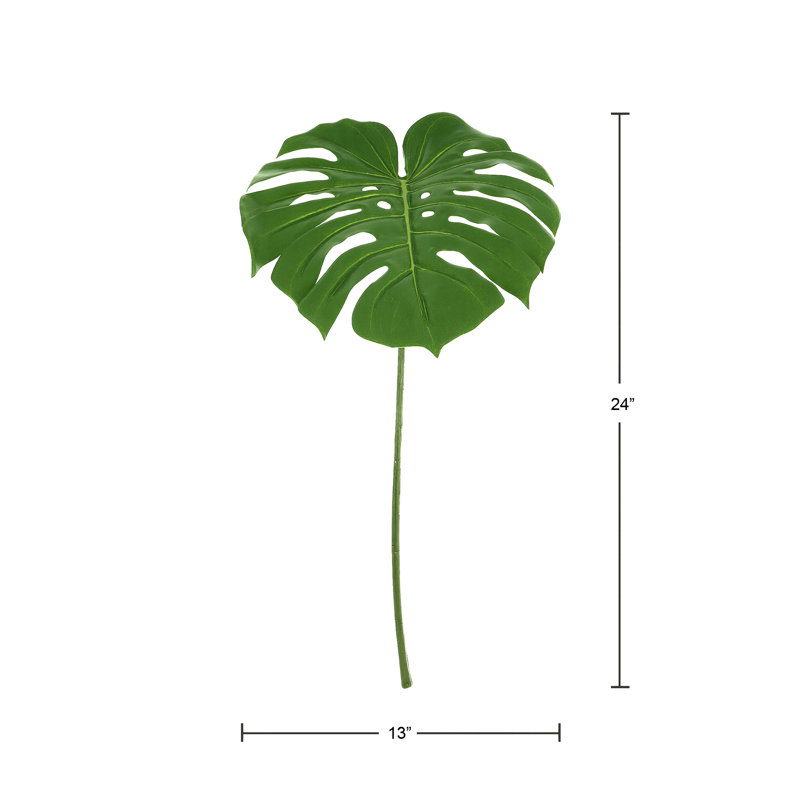 Philodendron Stem (Set of 2)