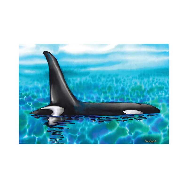Orca 1 Piece Wrapped Canvas Wall Art, 20.32 cm H x 30.48 cm W