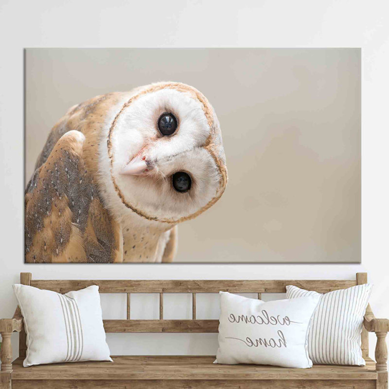 Print on Canvas, 40cm H x 60cm W, Framed Wrapped Canvas, Does Not Apply