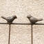 Treillis de jardin brun brun antirouille pour l'extérieur, paquet de 2 treillis en métal 71 po x 19,7 po pour plantes grimpantes