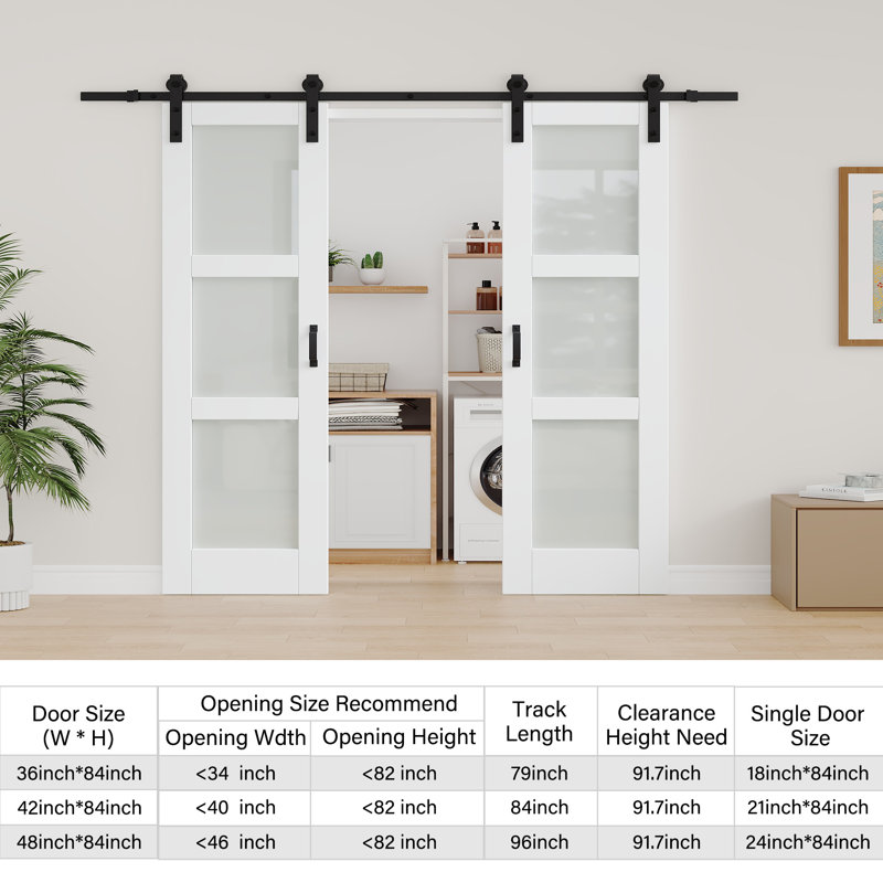 Double porte de grange coulissante en verre givré H 84 po, 48 po x 84 po, Avec fermeture en douceur