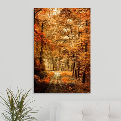 " Autumn Secret " by Philippe Sainte-Laudy