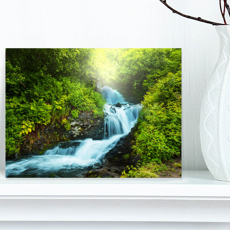 Green Rain Forest Landscape Canvas Art with Blue Creek