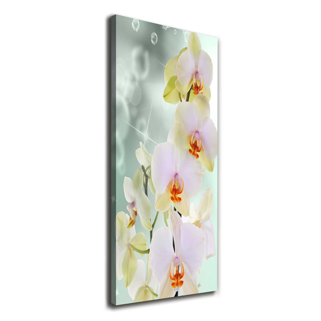 Orchidee - Kunstdrucke auf Leinwand - Wrapped Canvas