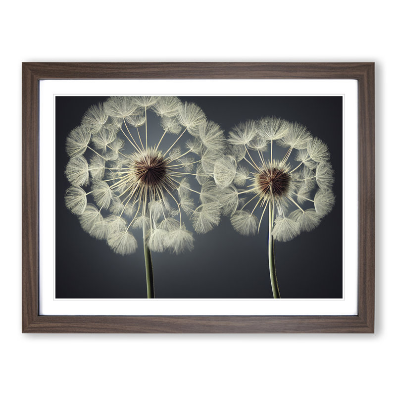 Creative Dandelion Flowers - Framed Print, 25cm H x 34cm W x 2cm D, Walnut