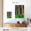 Arbres d'eucalyptus Alvord Maui Rainbow-108236456