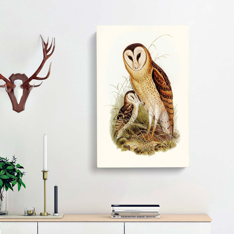 Grass-Owls by Elizabeth Gould - Wrapped Canvas, 76cm H x 50cm W x 3cm D