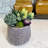 Ceramic Planter Ceramic Table Vase-93564556