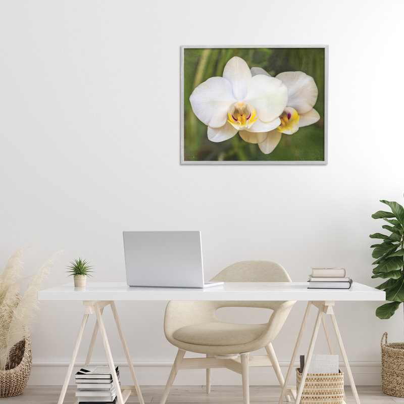 Orchidée Blossom Glow, estampe numérique, design par Seven Trees Design, H 16 po x l 20 po, Estampe numérique Farmhouse