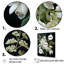 «Snowdrops Minimalisme Dream I»-727232105-727232110