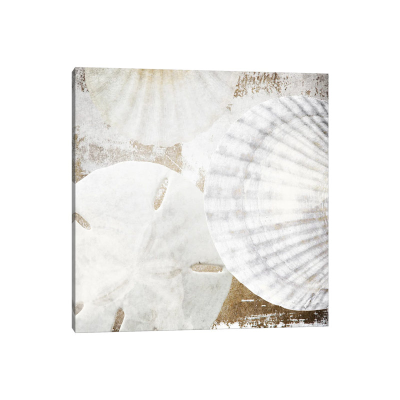 White Shells II ORL756, H 12 po x l 12 po x P 0,75 po